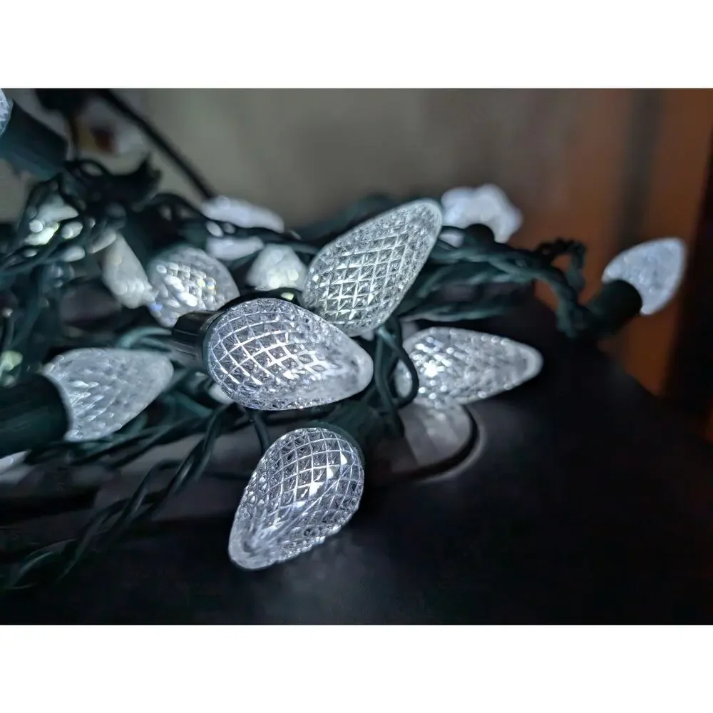 Indoor/Outdoor Christmas Lights-Snowflakes and Other